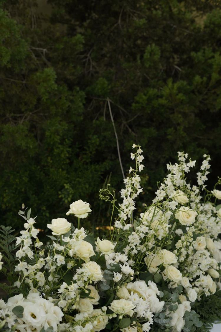 צילום: whitecodesocial