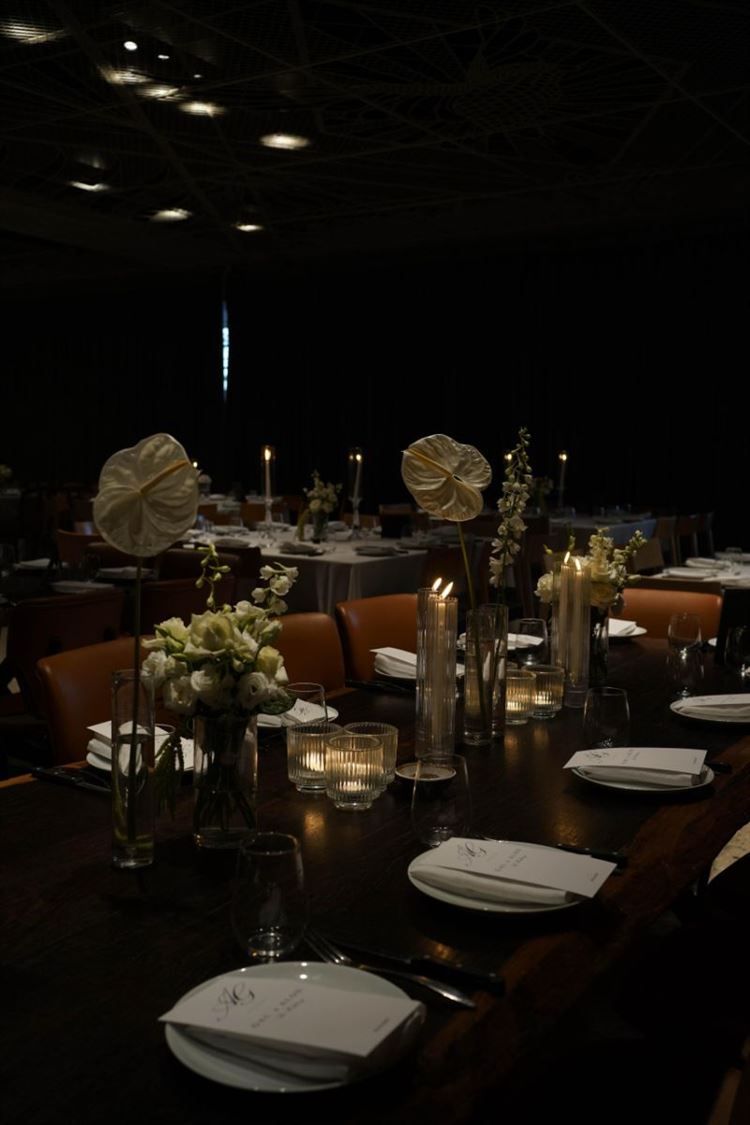 צילום: whitecodesocial