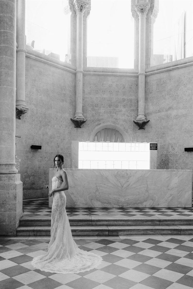 צילום: סהר מלול