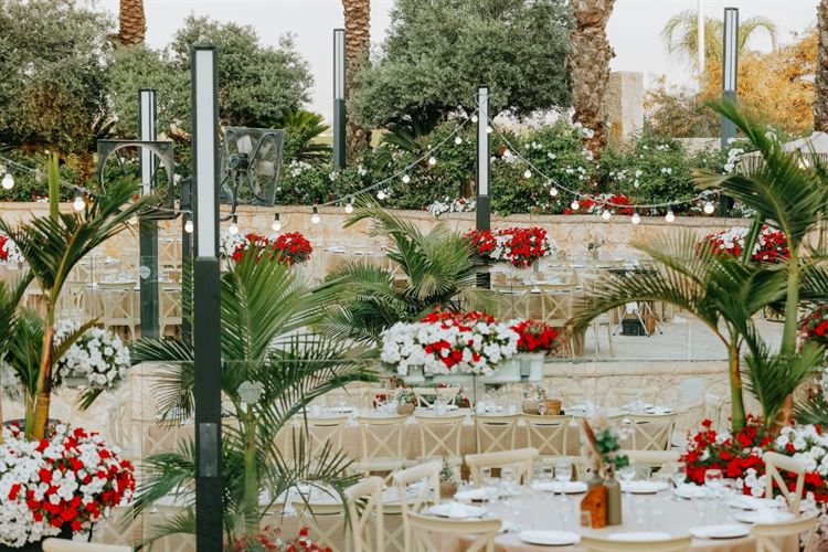 צילום: דניאל דיין- AVIRA