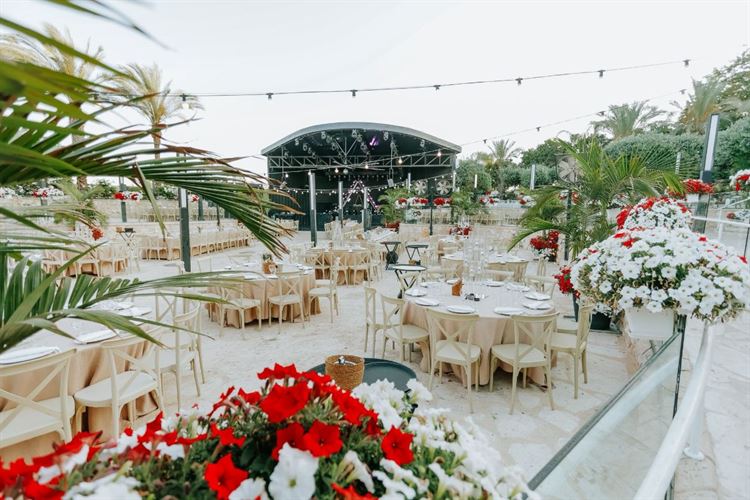 צילום: דניאל דיין- AVIRA