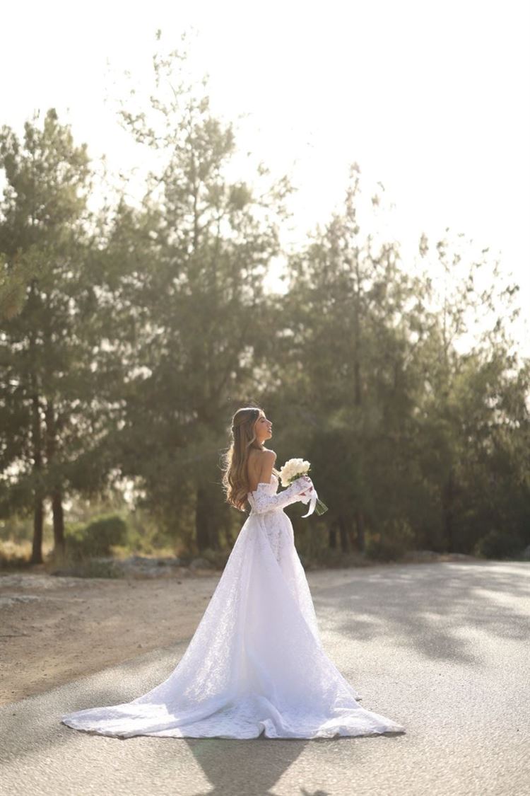 צילום: תמיר איתן