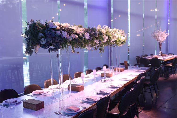 צילום: תמיר איתן