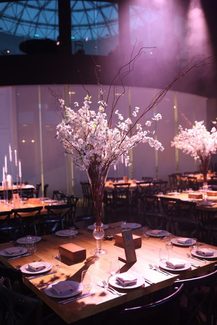 צילום: תמיר איתן