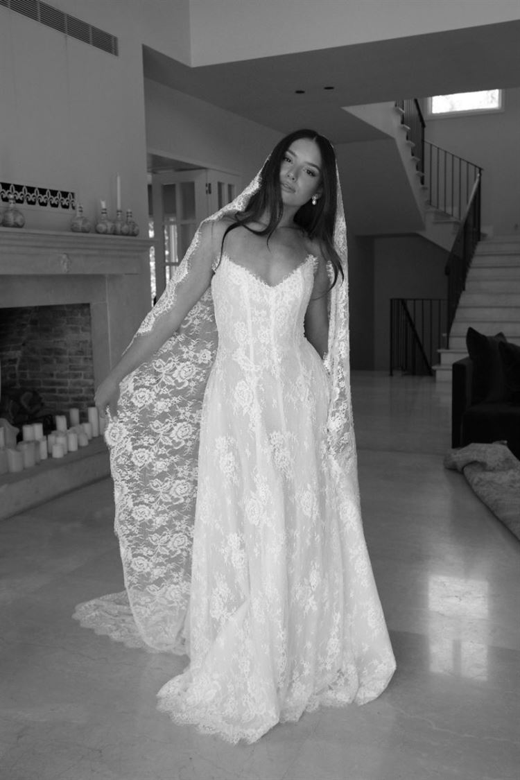 צילום: דניאל שר