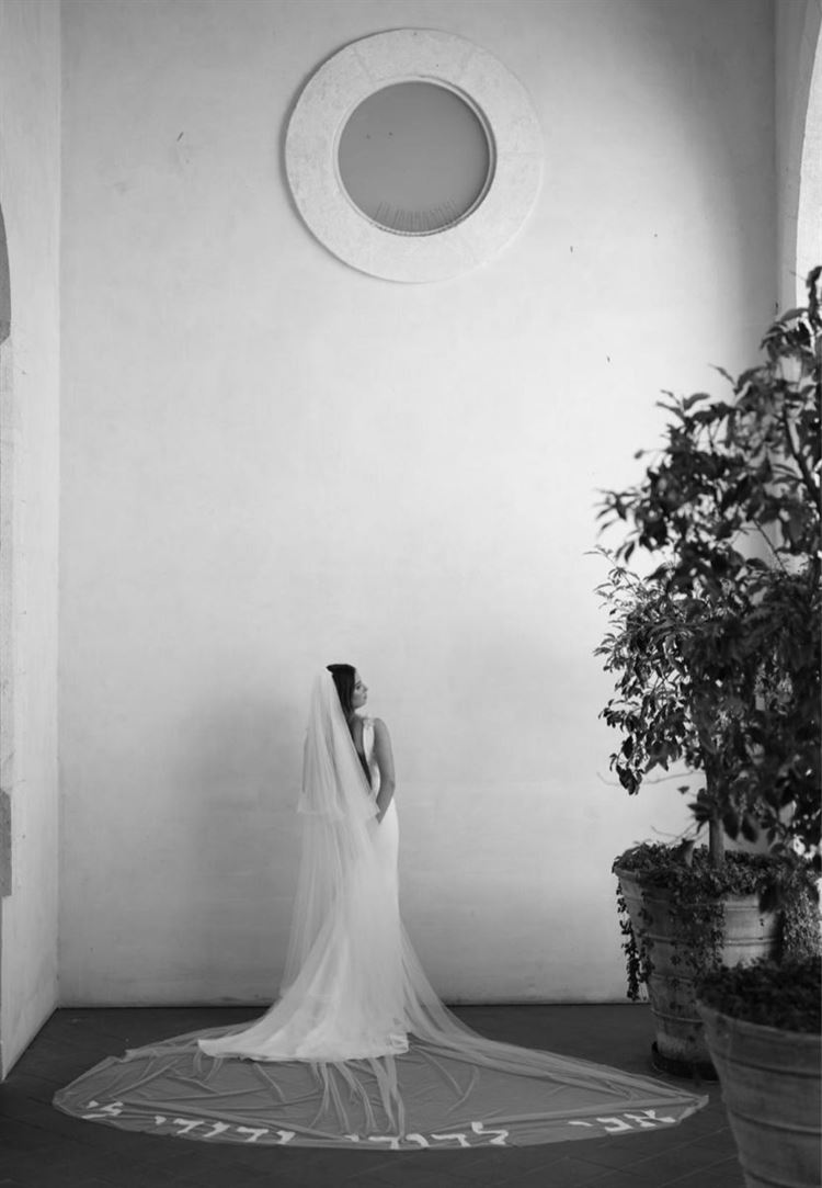 צילום: שלומי זנאתי