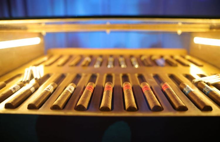 צילום: שלומי זנאתי