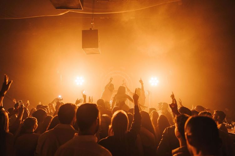 צילום: אורן סונגרו