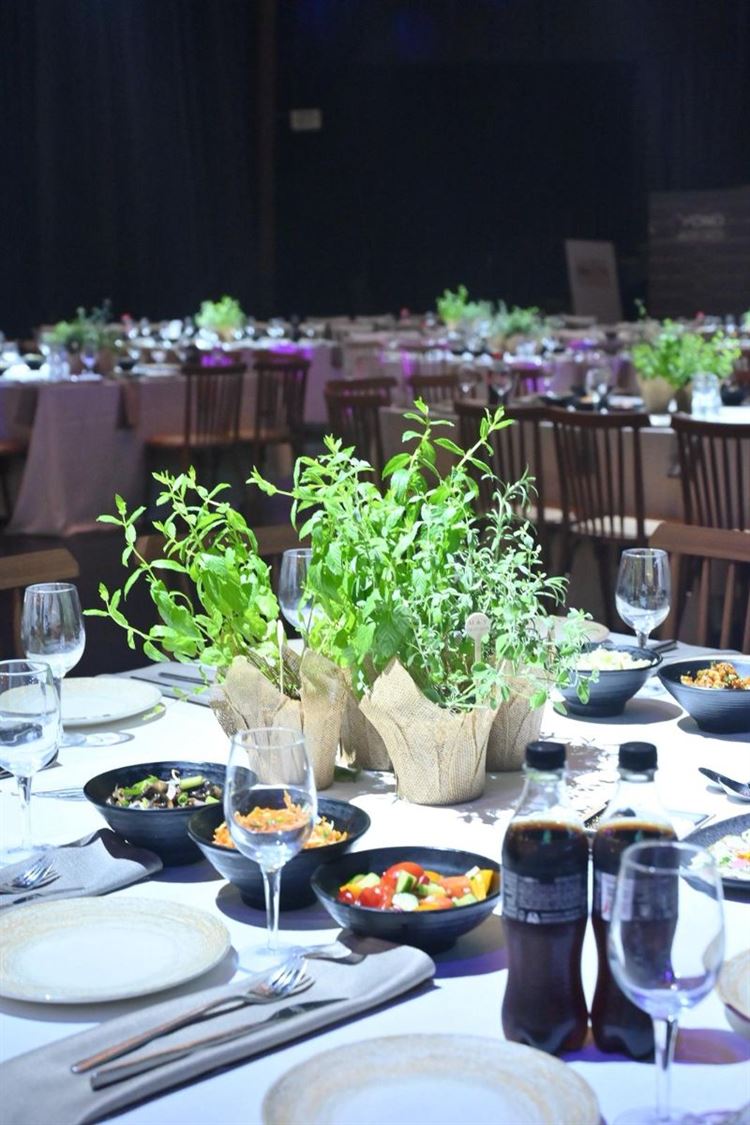 צילום: פיימן כהן