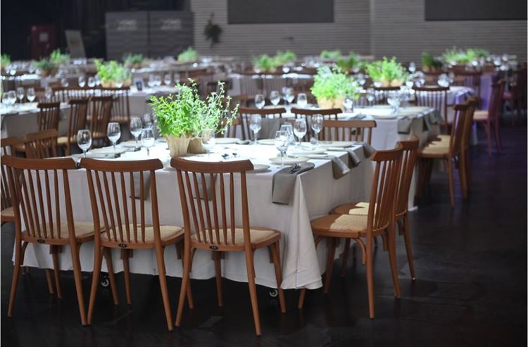 צילום: פיימן כהן