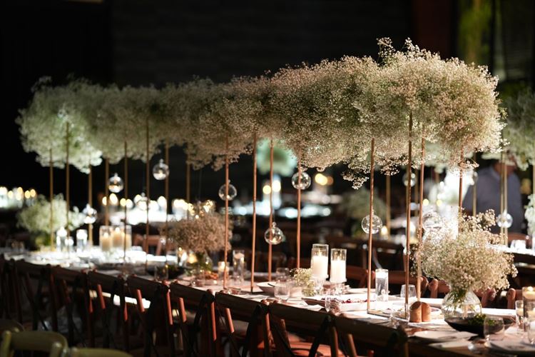 צילום: רמי כהן