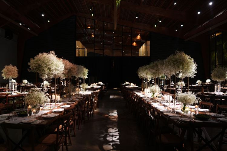 צילום: רמי כהן