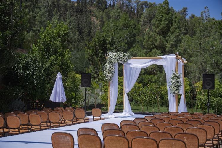 צילום: אורי חיון