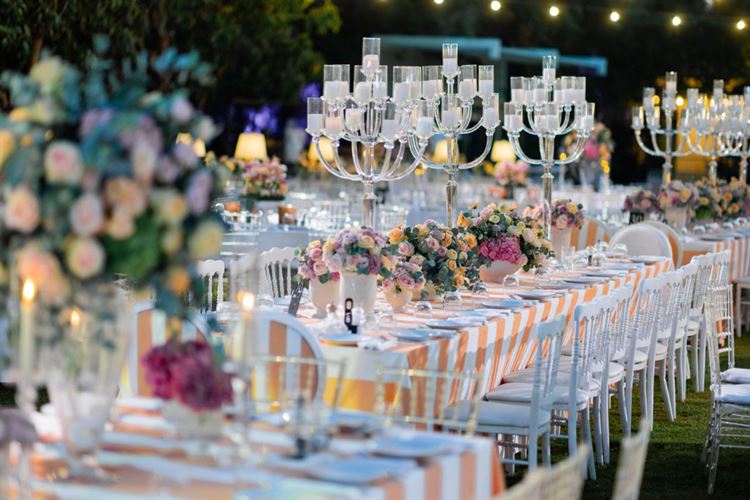 צילום: שלומי זנאתי