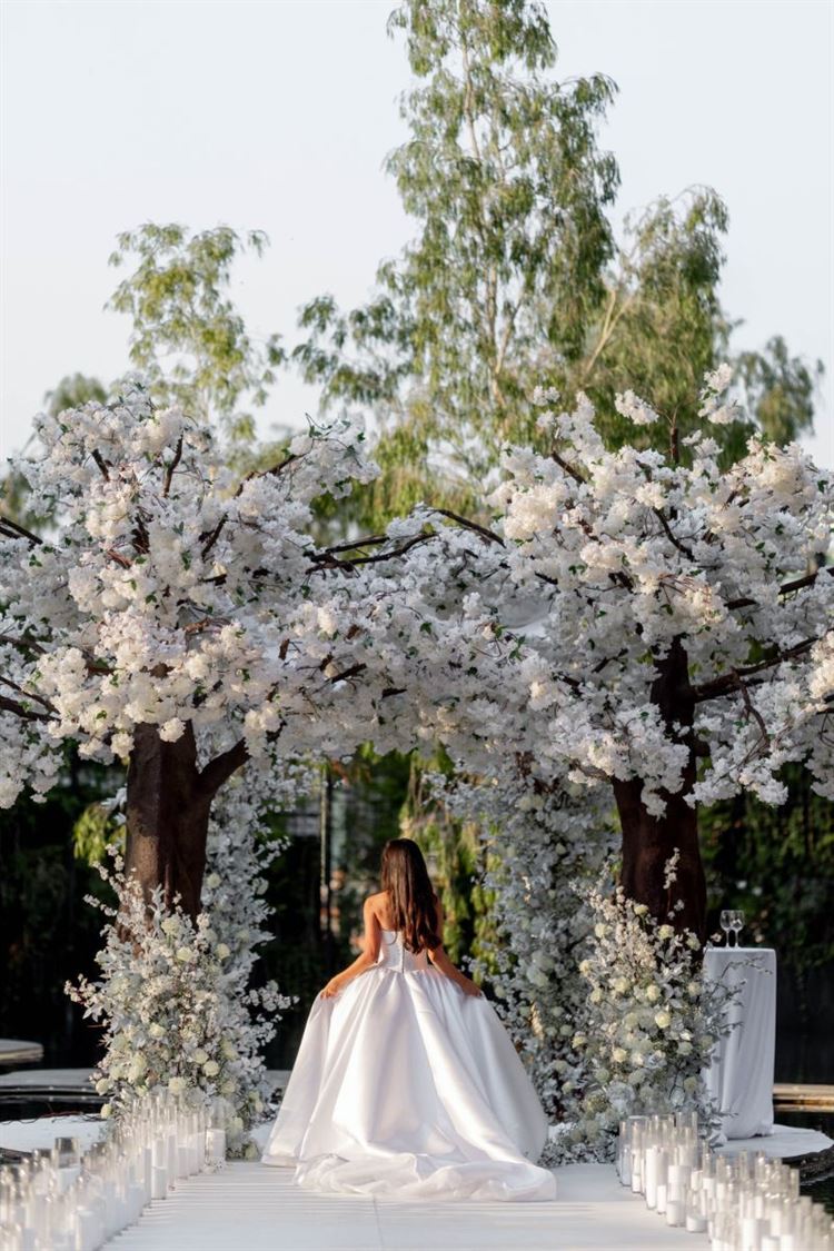 צילום: שלומי זנאתי