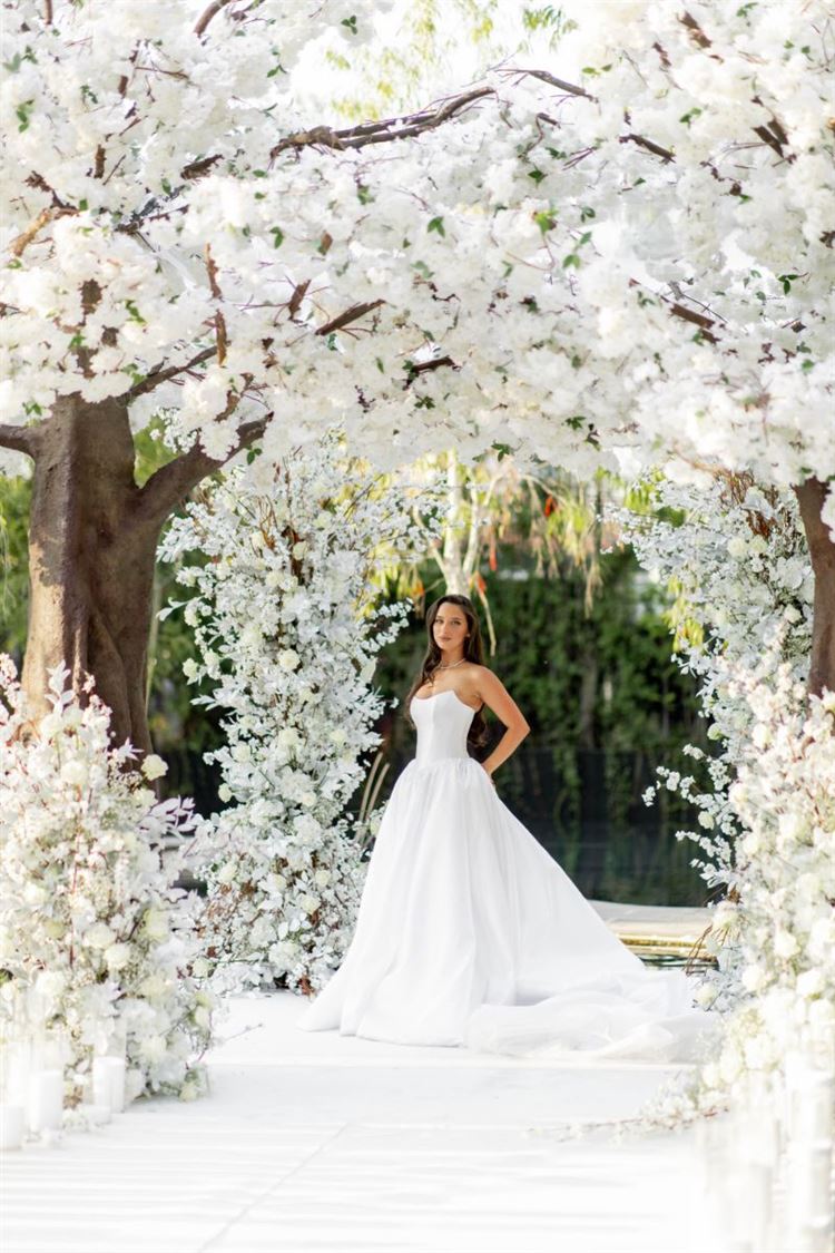 צילום: שלומי זנאתי