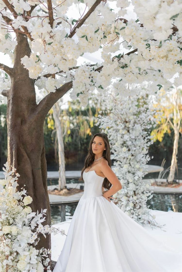 צילום: שלומי זנאתי