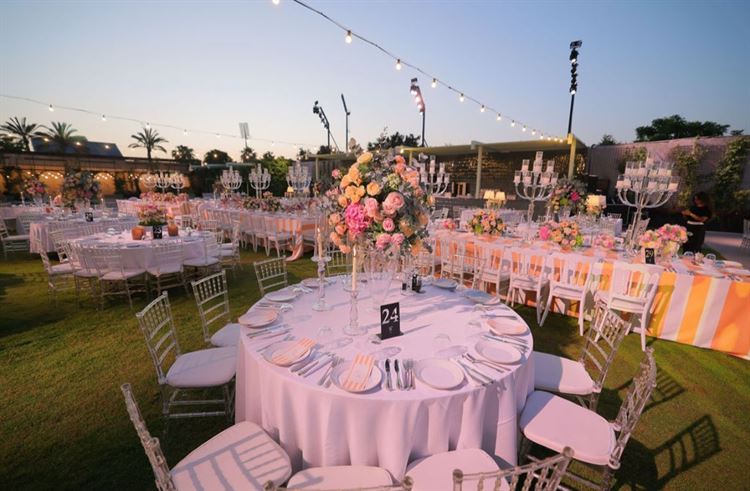 צילום: שלומי זנאתי