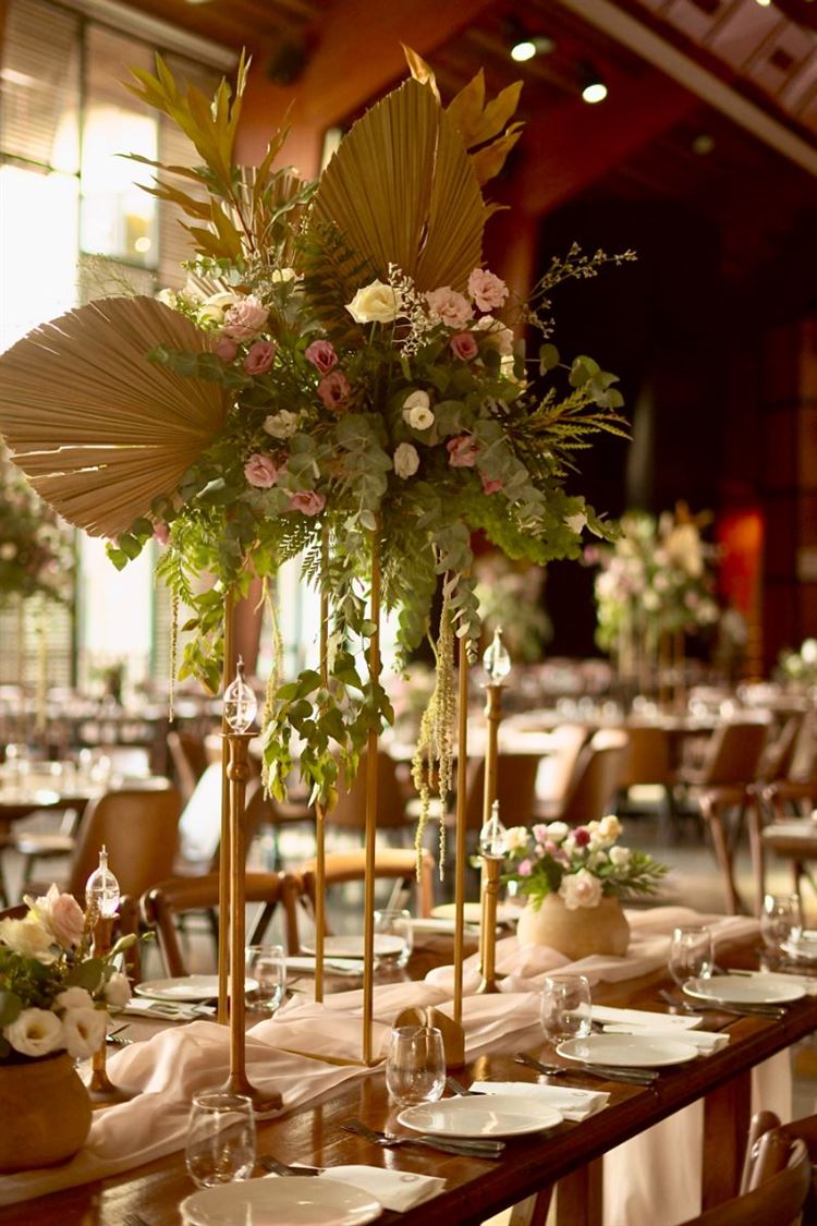 צילום: View צלמים