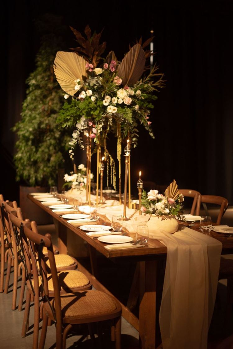 צילום: View צלמים