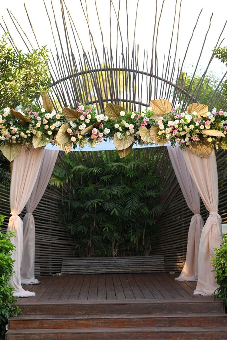 צילום: View צלמים