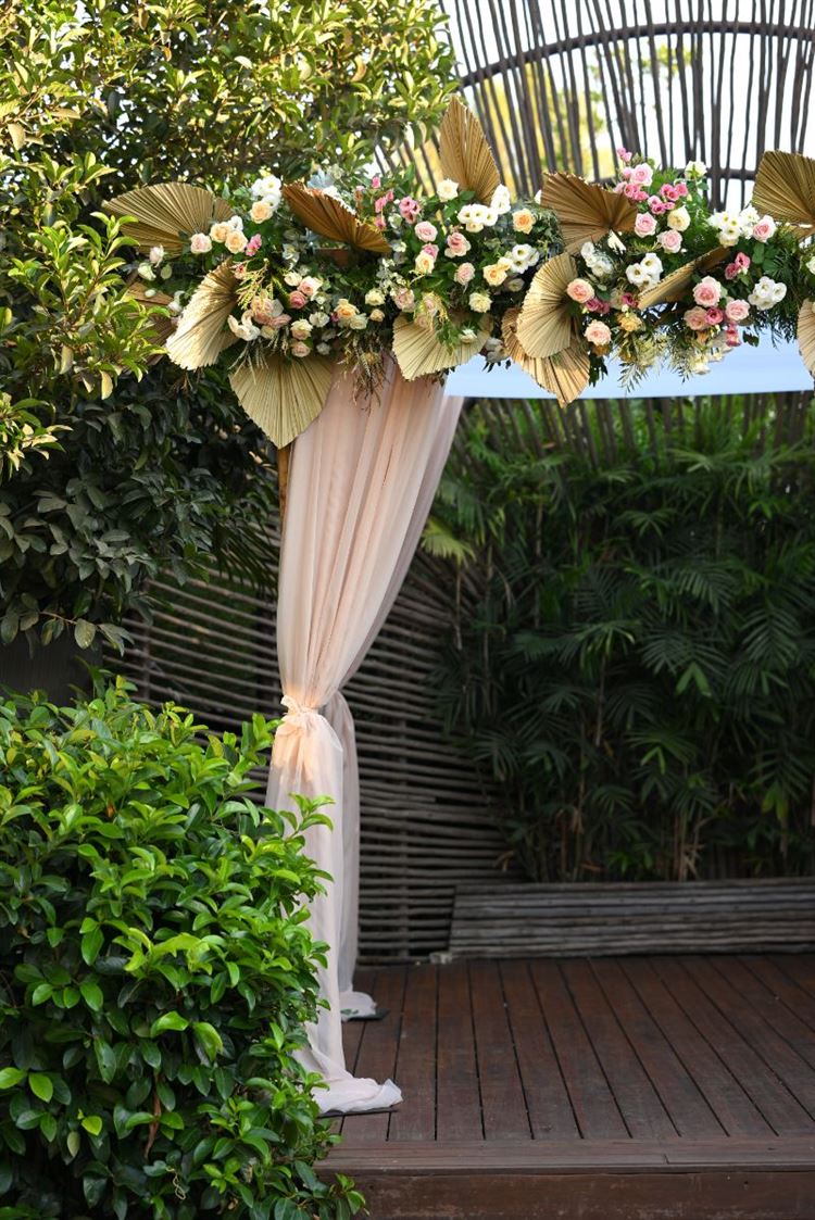 צילום: View צלמים