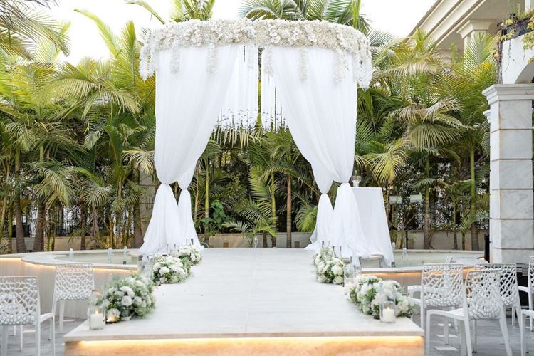 צילום: אטדגי צלמים