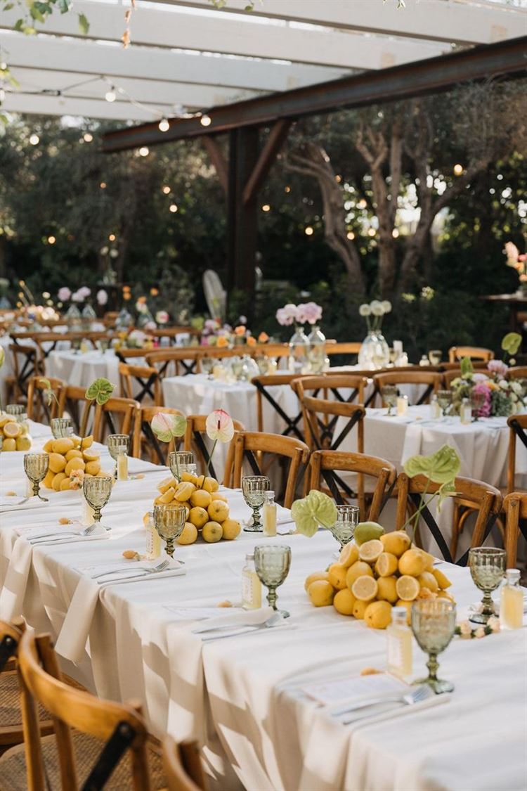 צילום: תום סיימון