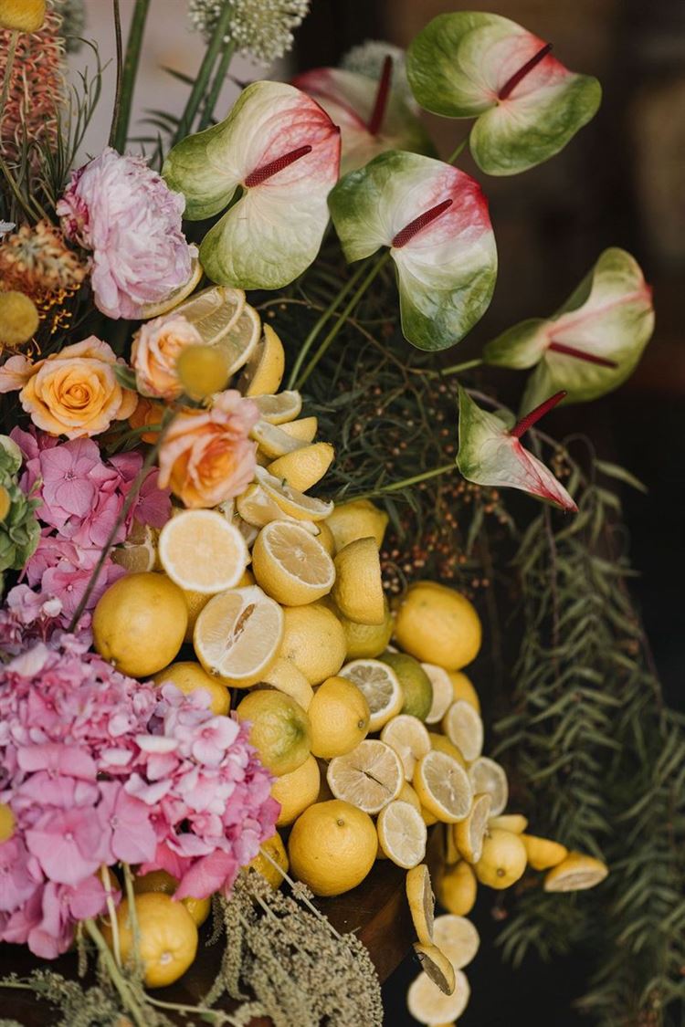 צילום: תום סיימון