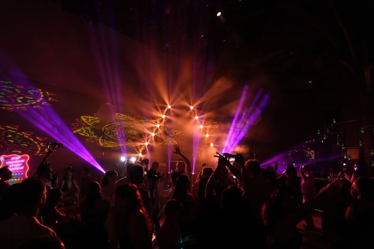 צילום: רון קובי