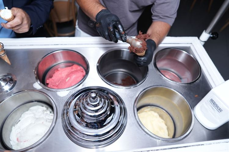 צילום: רון קובי