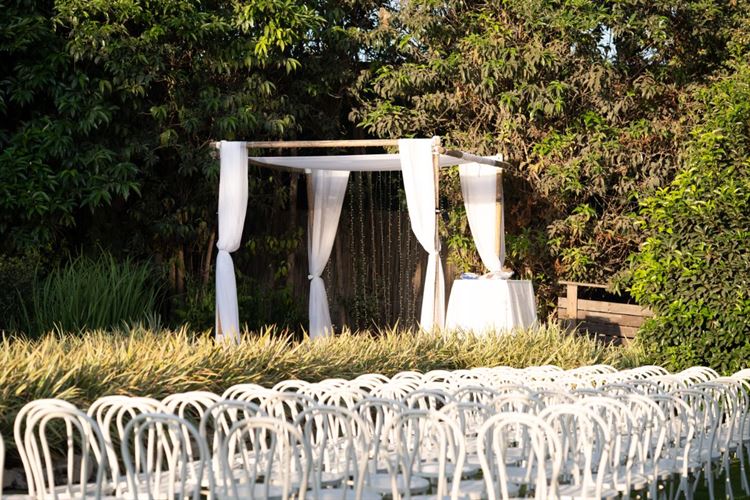 צילום: רון קובי