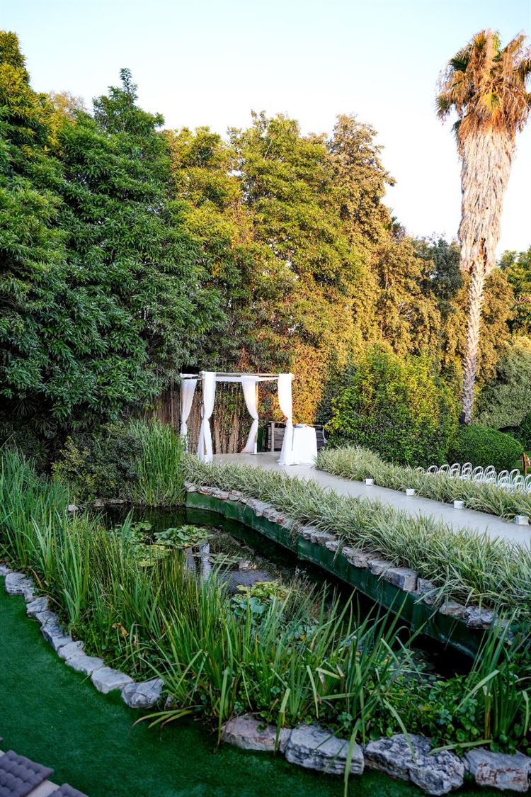 צילום: רון קובי