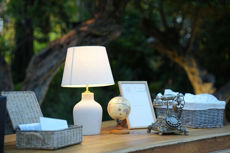 צילום: רון קובי