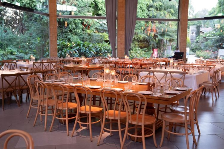 צילום: רון קובי