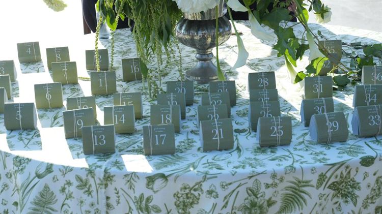 צילום: s.s social