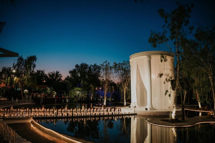 צילום: עידן חסון