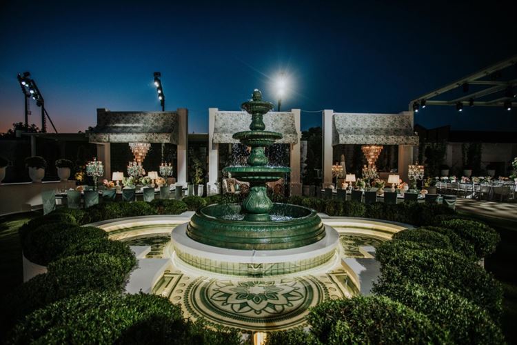 צילום: עידן חסון