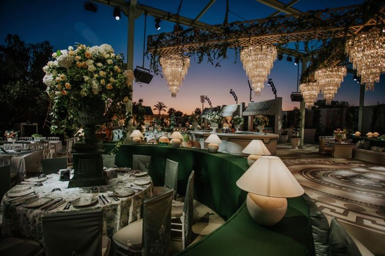 צילום: עידן חסון