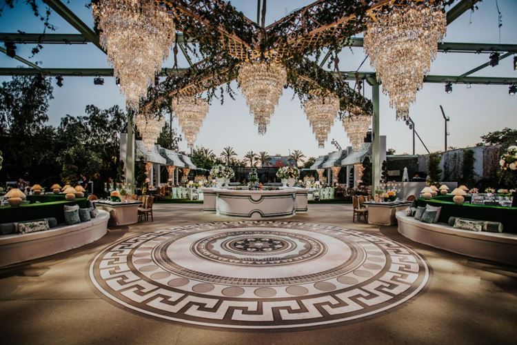 צילום: עידן חסון