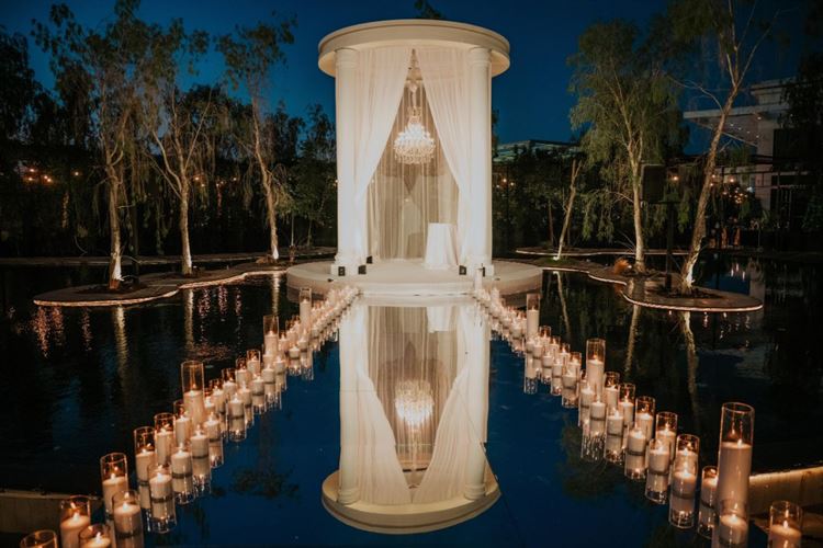 צילום: עידן חסון