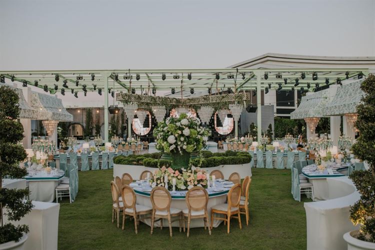 צילום: עידן חסון