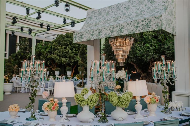 צילום: עידן חסון