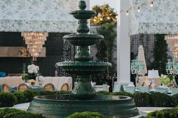 צילום: עידן חסון