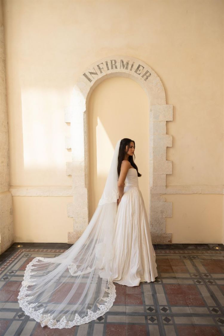 צילום: עידן חסון