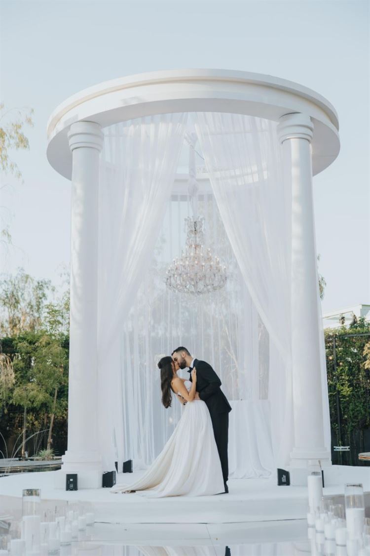 צילום: עידן חסון