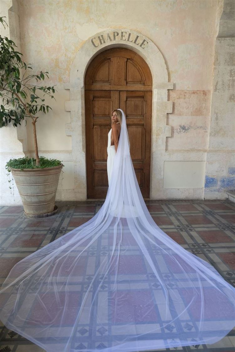 צילום: עידן חסון