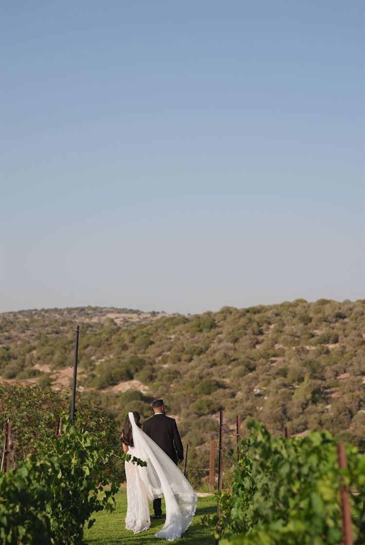 צילום: שלומי זנאתי