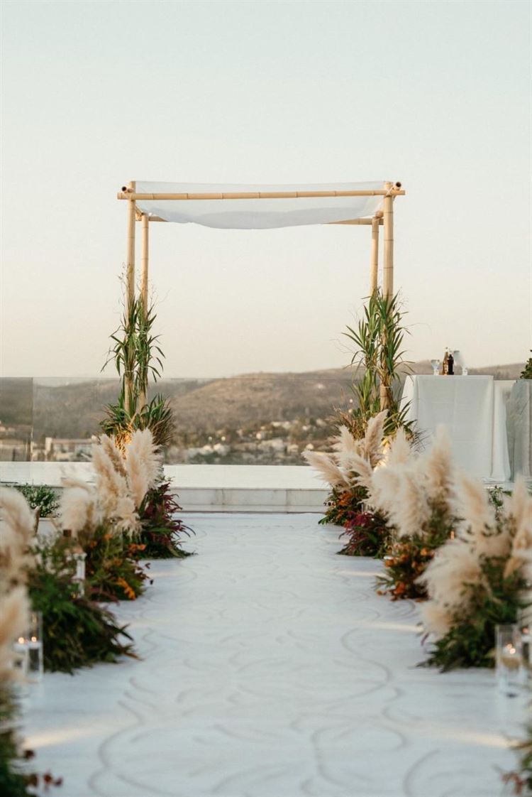 צילום: שלומי זנאתי