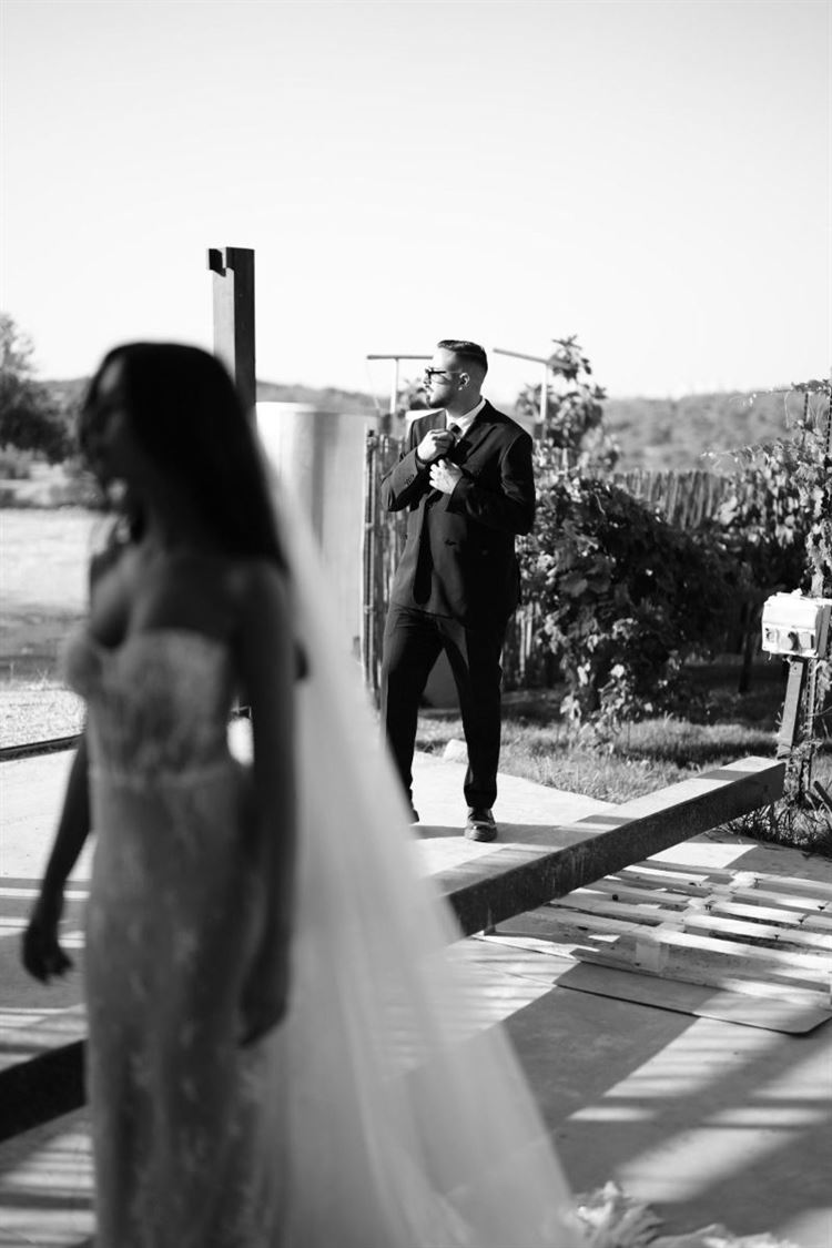 צילום: שלומי זנאתי